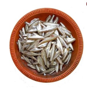 MOLA BLOCK 250GR*24PKT