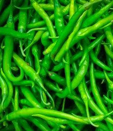 CHILLI VERDE BANGLA 5KG MENU/PIU CARTONE