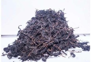 BITTER LEAVES SECCO 100GR*20PCS
