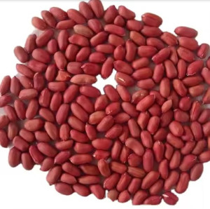 ARACHIDE ROSSO 800GR*15 (LAURA)