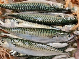 SGOMBERO ESPINA 1KG*10PKT