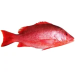 Red_Fish