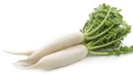 DAIKON FRESHCO